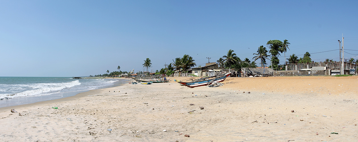 Panorama 1.jpg
